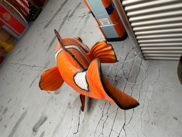 Nemo statue grandeur nature dessus